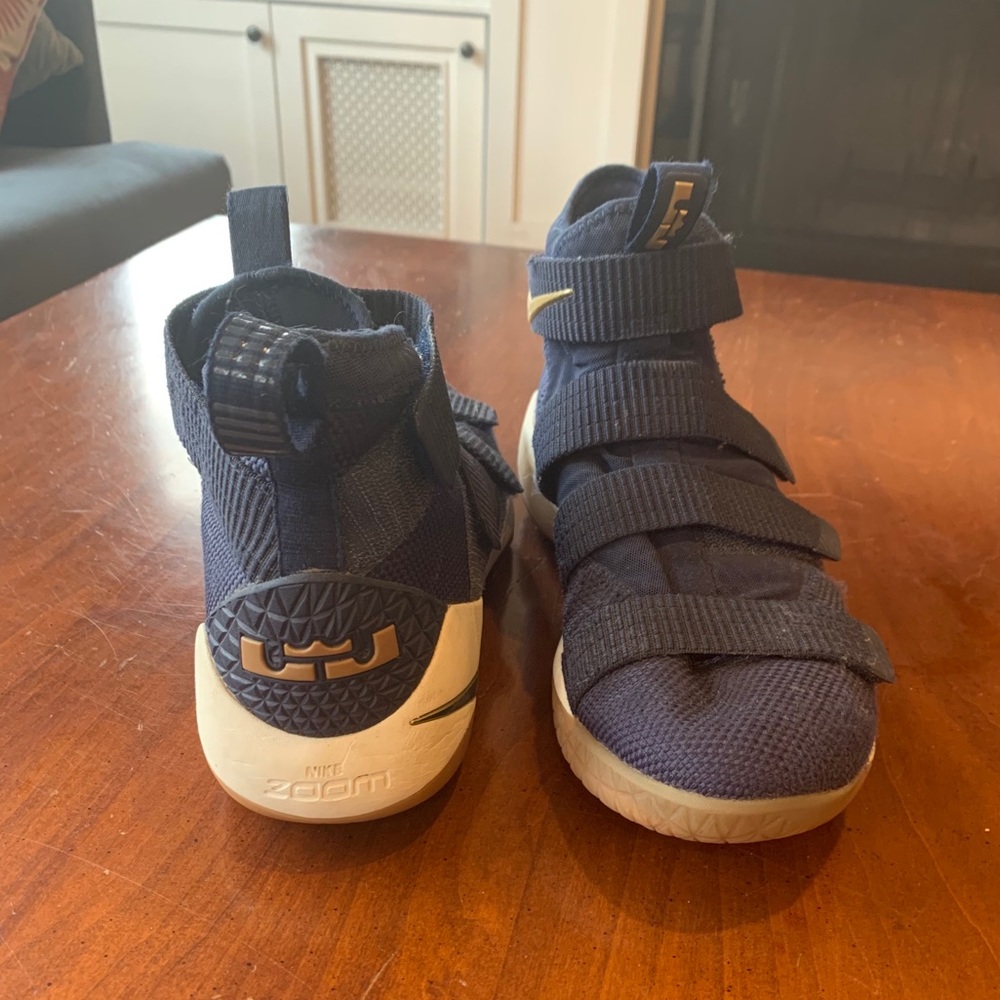 Nike LeBron James basketball shoes.